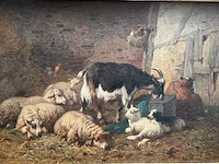 Schilderij op doek robbe - afbeelding 1 van  9
