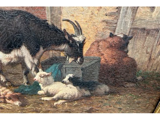 Schilderij op doek robbe - afbeelding 2 van  9