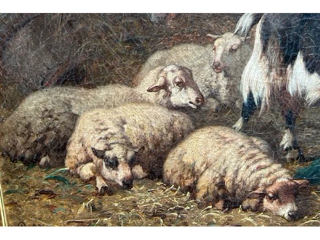 Schilderij op doek robbe - afbeelding 4 van  9