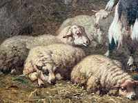 Schilderij op doek robbe - afbeelding 4 van  9