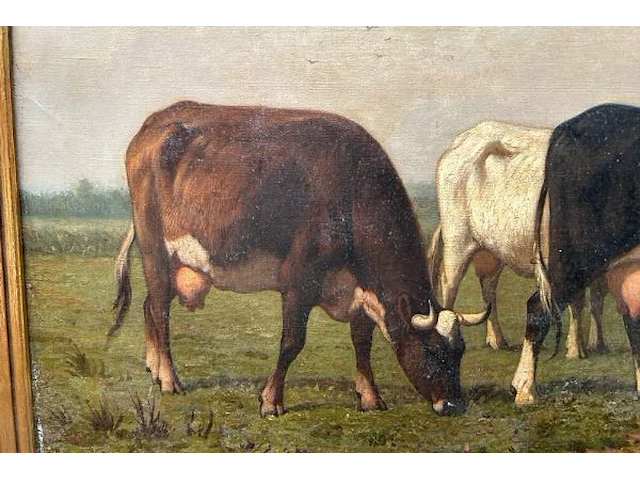 Schilderij op doek robbe - afbeelding 6 van  10