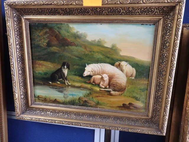 Schilderij schapen gesigneerd 51cm x 40cm - afbeelding 1 van  3