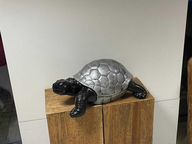 Schildpad h30cm x l70cm zilver/zwart - afbeelding 1 van  2