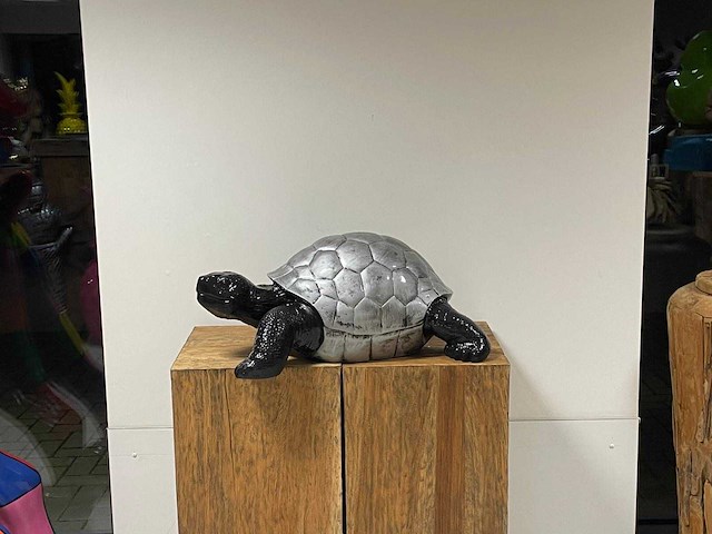 Schildpad h30cm x l70cm zilver/zwart - afbeelding 2 van  2