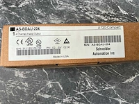 Schneider as-bdau-204 analoge output (2x) - afbeelding 4 van  5