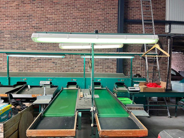 Schoemans 3-sporige appelen-/peren sorteermachine - afbeelding 1 van  7