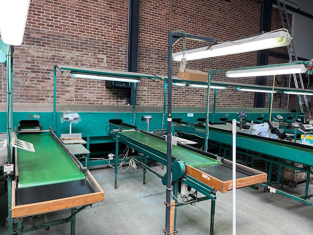 Schoemans 3-sporige appelen-/peren sorteermachine - afbeelding 5 van  7