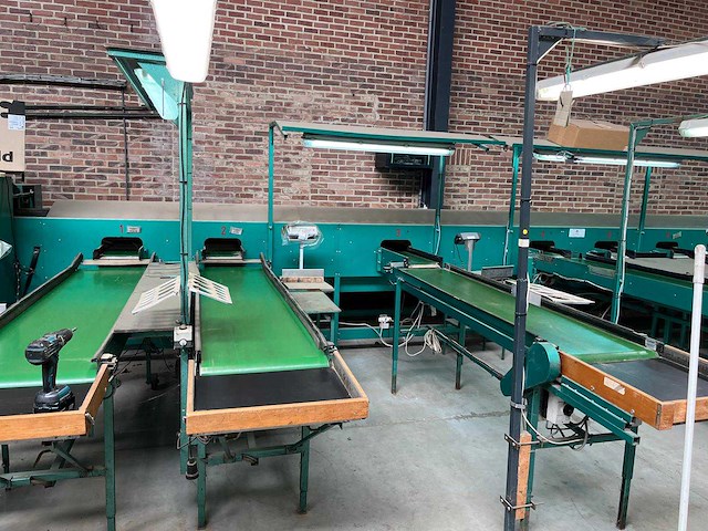 Schoemans 3-sporige appelen-/peren sorteermachine - afbeelding 6 van  7