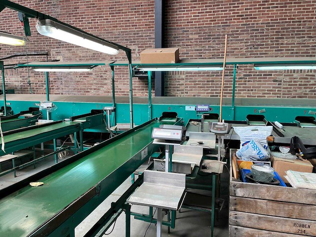 Schoemans 3-sporige appelen-/peren sorteermachine - afbeelding 7 van  7