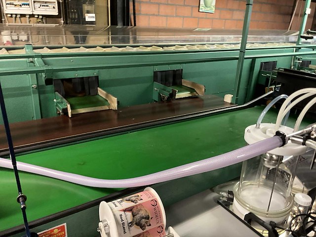 Schoemans 3-sporige sorteermachine - afbeelding 13 van  21