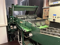 Schoemans 3-sporige sorteermachine - afbeelding 19 van  21