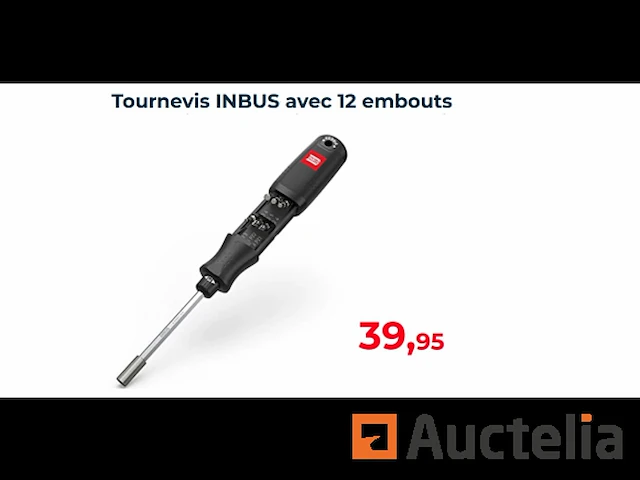 Schroevendraaier met 12 inbus bits - afbeelding 1 van  5