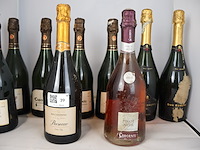 Schuimwijn (x9) - afbeelding 2 van  4