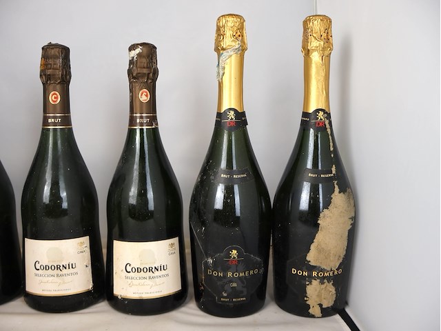 Schuimwijn (x9) - afbeelding 3 van  4