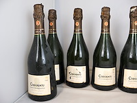 Schuimwijn (x9) - afbeelding 4 van  4