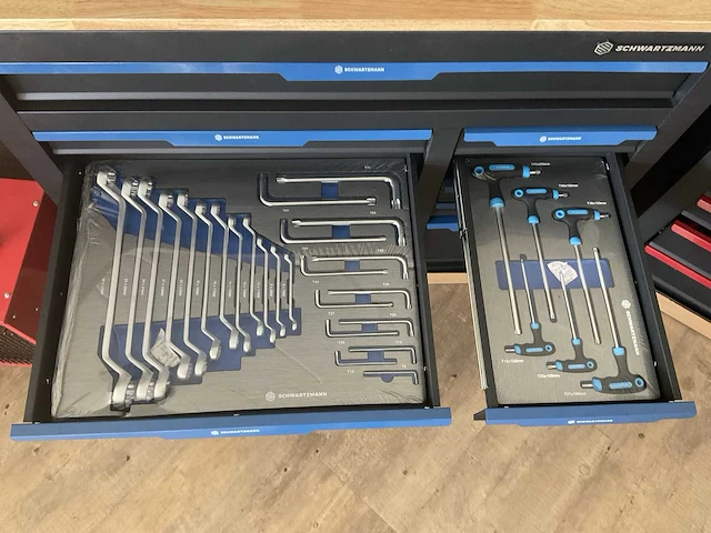 Schwartzmann gereedschapswagen 269 pcs - afbeelding 3 van  8