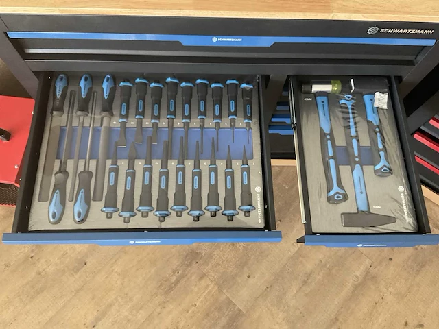 Schwartzmann gereedschapswagen 269 pcs - afbeelding 5 van  8