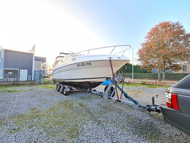 Sea ray sundancer 240 motorjacht met riba boot trailer - afbeelding 2 van  55