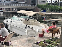 Sea ray sundancer 240 motorjacht met riba boot trailer - afbeelding 3 van  55