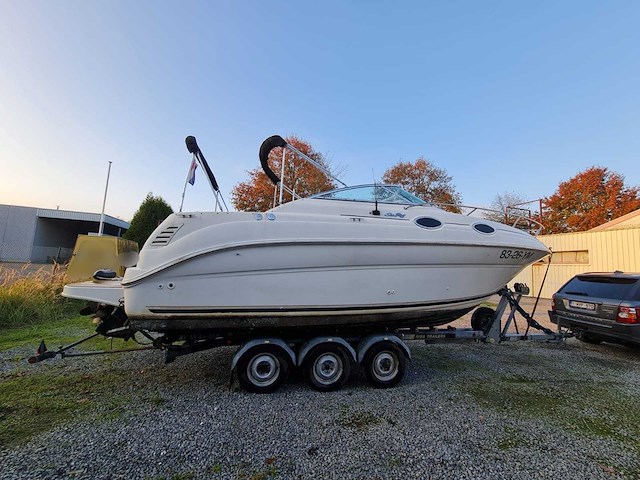 Sea ray sundancer 240 motorjacht met riba boot trailer - afbeelding 4 van  55