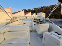 Sea ray sundancer 240 motorjacht met riba boot trailer - afbeelding 17 van  55