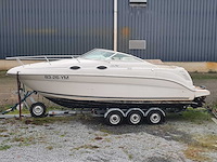 Sea ray sundancer 240 motorjacht met riba boot trailer - afbeelding 12 van  55