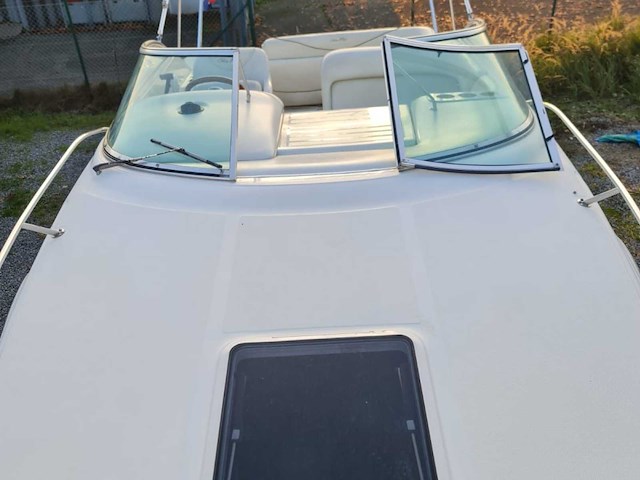 Sea ray sundancer 240 motorjacht met riba boot trailer - afbeelding 41 van  55