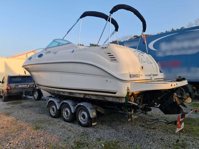 Sea ray sundancer 240 motorjacht met riba boot trailer - afbeelding 53 van  55