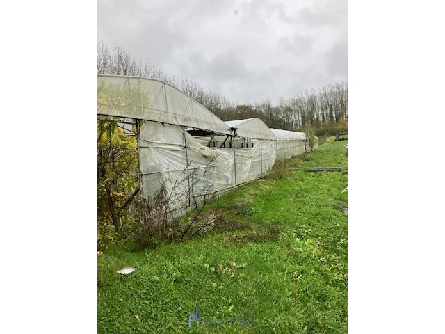 Serre - afbeelding 2 van  10