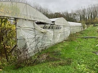 Serre - afbeelding 2 van  10