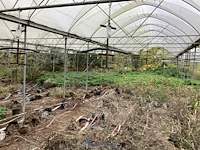 Serre - afbeelding 3 van  10