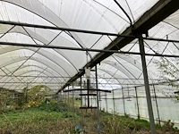Serre - afbeelding 5 van  10