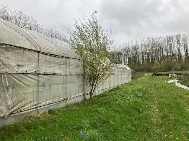 Serre - afbeelding 6 van  10