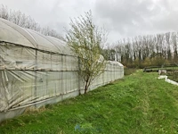 Serre - afbeelding 6 van  10