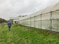 Serre - afbeelding 9 van  10