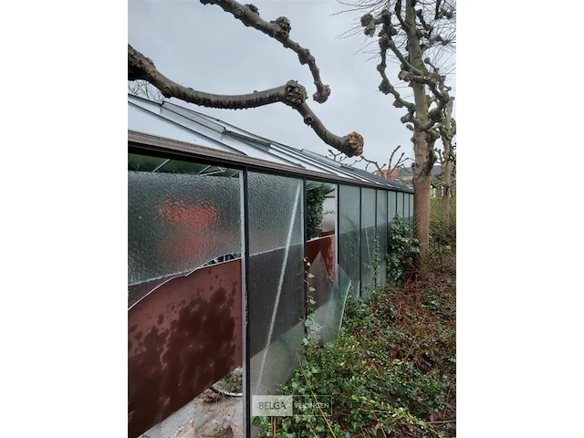 Serre - afbeelding 9 van  11