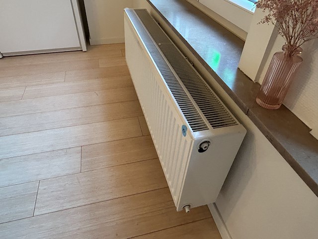 Set radiatoren eetplaats (2) - afbeelding 5 van  7