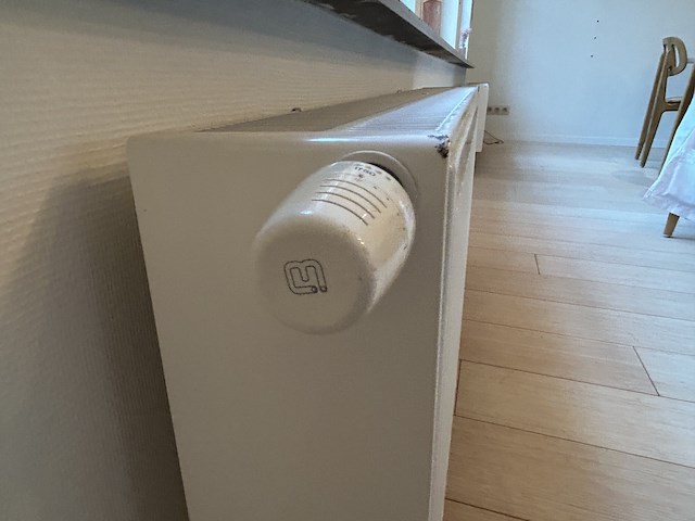 Set radiatoren eetplaats (2) - afbeelding 7 van  7