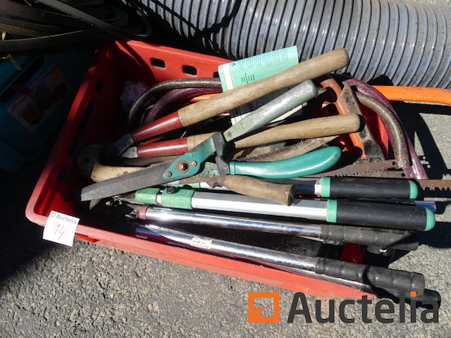Set tuingereedschap en verschillend - afbeelding 3 van  11