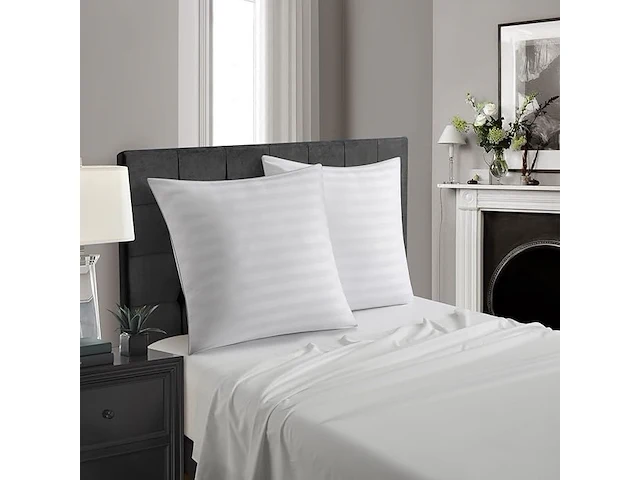 Set v 2 microfiber hoofdkussens 60x60cm - afbeelding 1 van  4