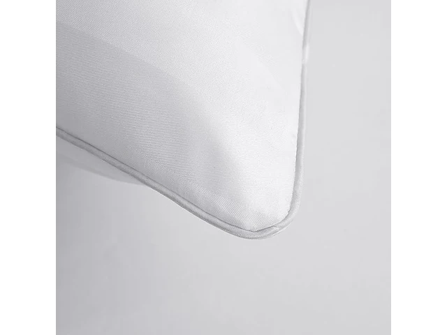 Set v 2 microfiber hoofdkussens 60x60cm - afbeelding 4 van  4