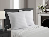 Set v 2 microfiber hoofdkussens 60x60cm - afbeelding 1 van  4