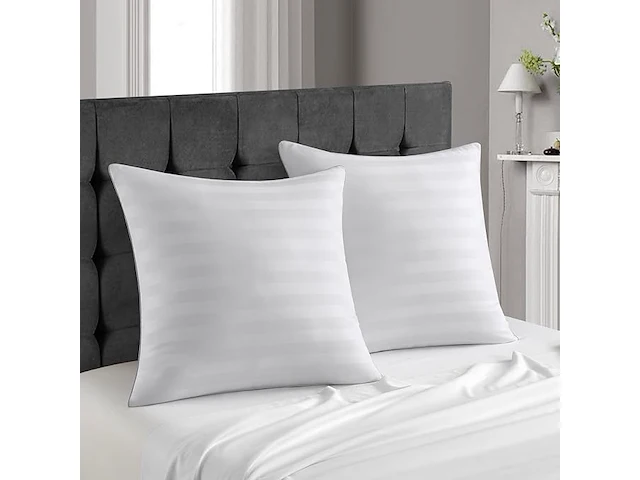 Set v 2 microfiber hoofdkussens 80x80cm - afbeelding 1 van  3