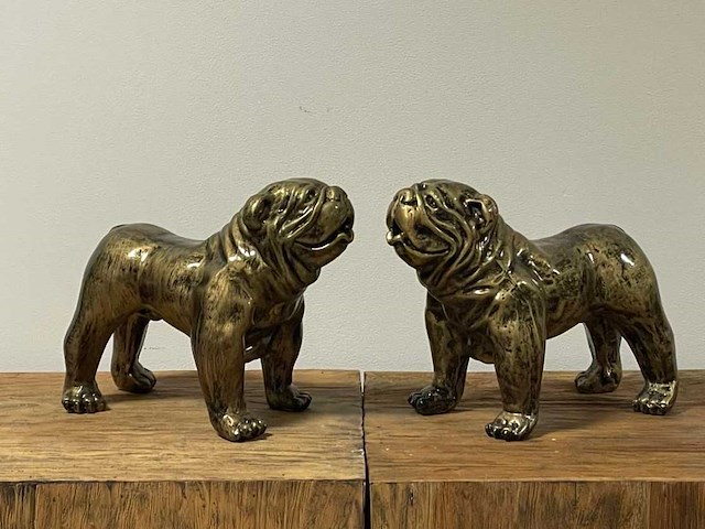 Set van 2 engelse bulldogs h24cm x l27cm old gold - afbeelding 1 van  1