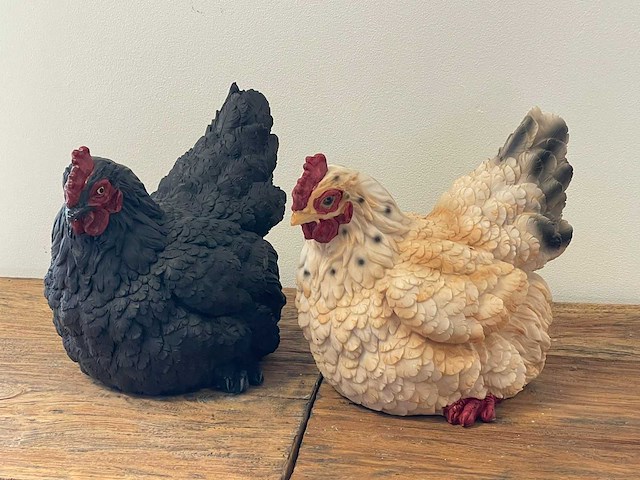 Set van 2 kippen liggend h22cm x l27cm - afbeelding 1 van  1