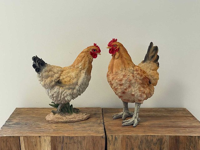 Set van 2 kippen staand naturel h37cm & h32cm - afbeelding 1 van  2