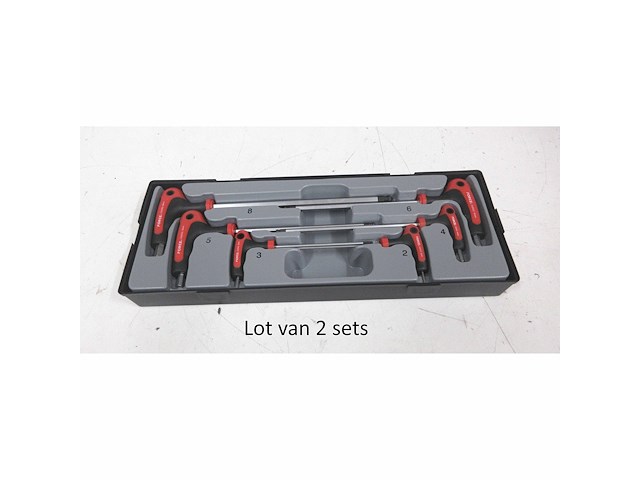 Set van 2x force t50637 t-greep kogelinbus sleutelset 6-delig - afbeelding 1 van  1