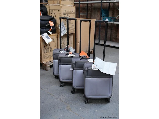 Set van 4 bagagetrolies grijs - afbeelding 5 van  5