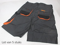 Set van 5x beta 079010104 7901 grey / xl 54 werkshort - afbeelding 1 van  3