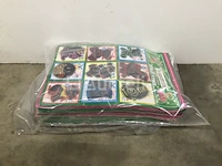 Set van 625 sjaals - afbeelding 6 van  6